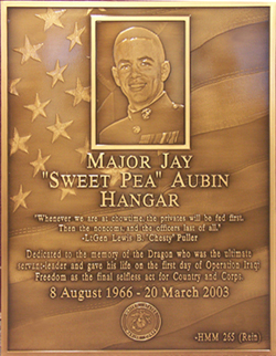 bronze image cast plaque, bronze image cast plaques 