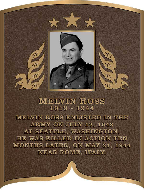 image Cast  Bronze Military Emblems plaque, image cast portrait bronze plaque 